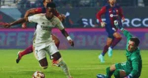 vini